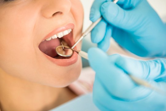 how often should you get a dental check-up wodonga